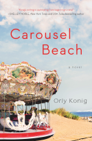 book cover for Carousel Beach