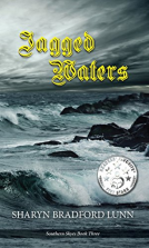 book cover for Jagged Waters