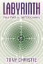 Cover Image: Labyrinth