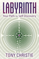 book cover for Labyrinth