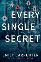 book cover for Every Single Secret