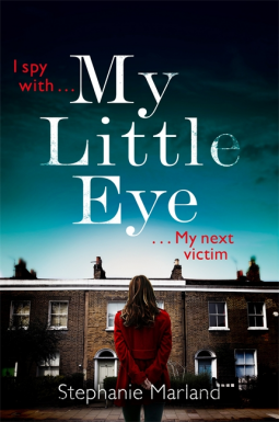 book cover for My Little Eye