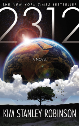 book cover for 2312