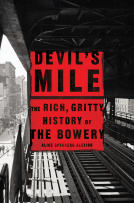 book cover for Devil's Mile