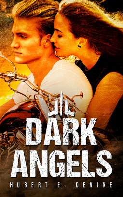 book cover for Dark Angels