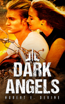 book cover for Dark Angels
