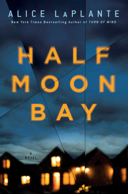 book cover for Half Moon Bay