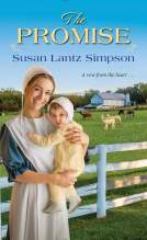book cover for The Promise