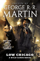 book cover for Low Chicago
