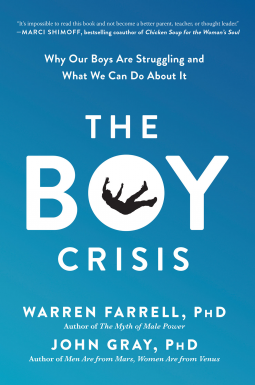 book cover for The Boy Crisis