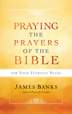 book cover for Praying the Prayers of the Bible for Your Everyday Needs