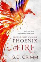 book cover for Phoenix Fire