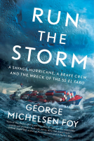 book cover for Run the Storm