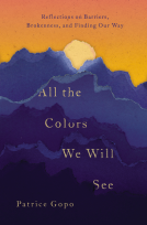 book cover for All the Colors We Will See