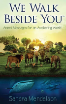 book cover for We Walk Beside You
