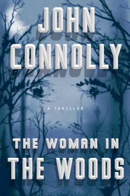 book cover for The Woman in the Woods