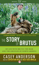 book cover for The Story of Brutus