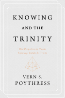 book cover for Knowing and the Trinity