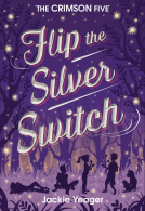 book cover for Flip the Silver Switch