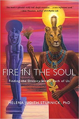 book cover for Fire in the Soul