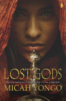 book cover for Lost Gods