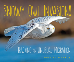 book cover for Snowy Owl Invasion!