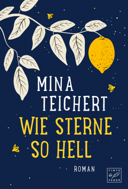 Buchcover für Wie Sterne so hell