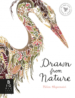 book cover for Drawn from Nature
