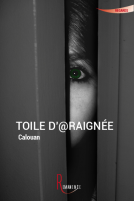 Couverture du livre pour Toile d'araignée