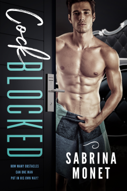 book cover for Cock Blocked