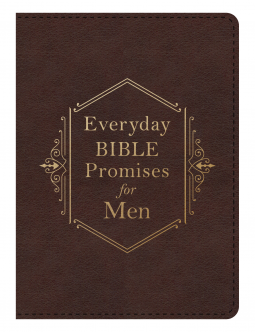 book cover for Everyday Bible Promises for Men