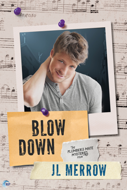 book cover for Blow Down