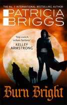 book cover for Burn Bright
