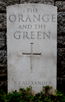 book cover for The Orange and the Green