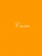 book cover for Casta