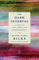 book cover for The Dark Interval
