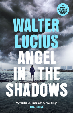 book cover for Angel in the Shadows