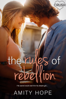 book cover for The Rules of Rebellion