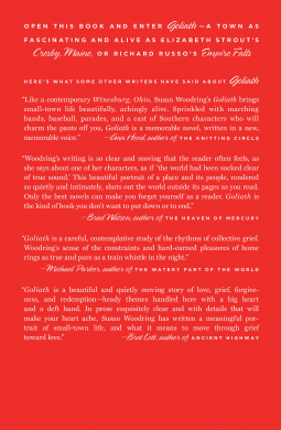 book cover for Goliath