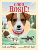 book cover for Good Rosie!