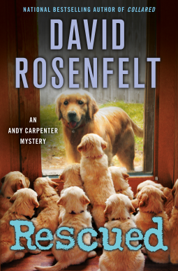 book cover for Rescued