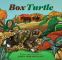 Cover Image: Box Turtle