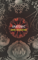 book cover for Anatomic