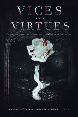 book cover for Vices and Virtues