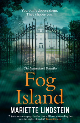 book cover for Fog Island