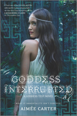 book cover for Goddess Interrupted