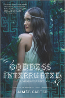 book cover for Goddess Interrupted