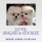 Cover Image: Love, Sugar & Cookie