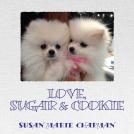 book cover for Love, Sugar & Cookie