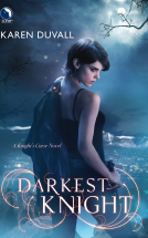 book cover for Darkest Knight